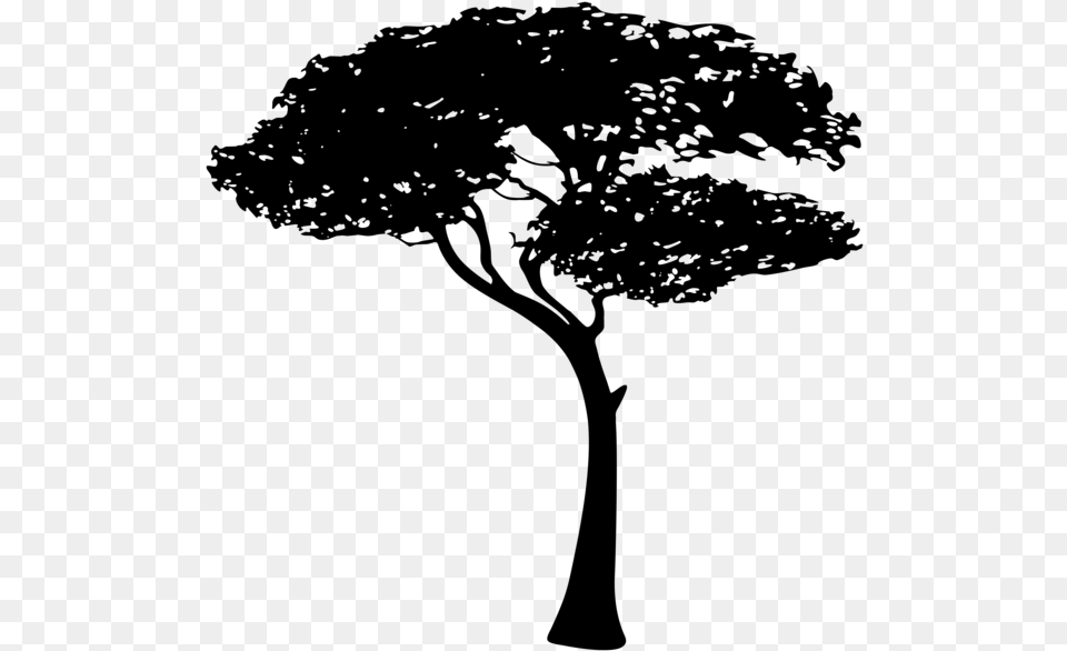 Img Tree Silhouette Clip Art, Gray Png