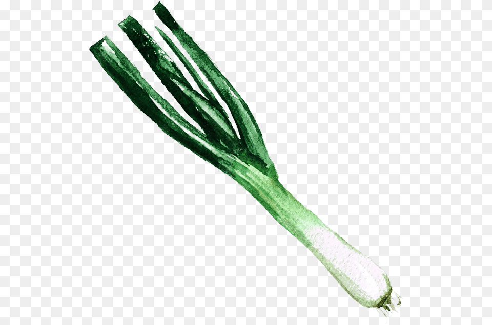 Img Welsh Onion, Food, Plant, Produce, Leek Png Image