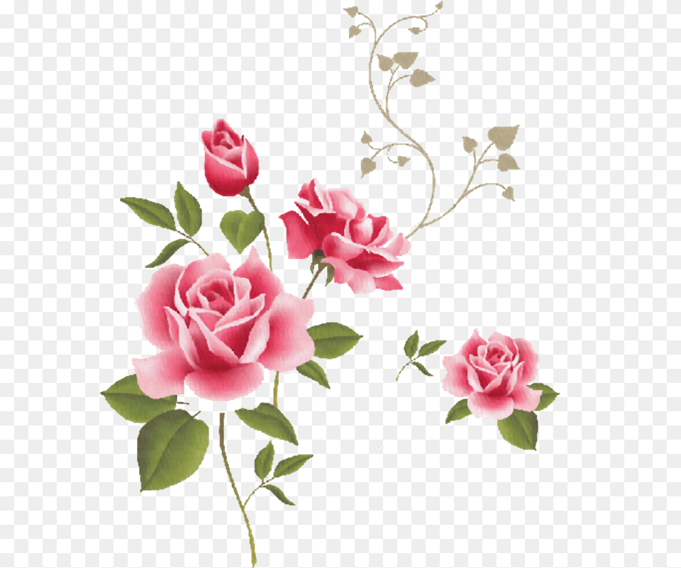Imgenes Para Photoscape De Flores Y Plantas Pink Roses Clip Art, Flower, Plant, Rose, Petal Free Transparent Png