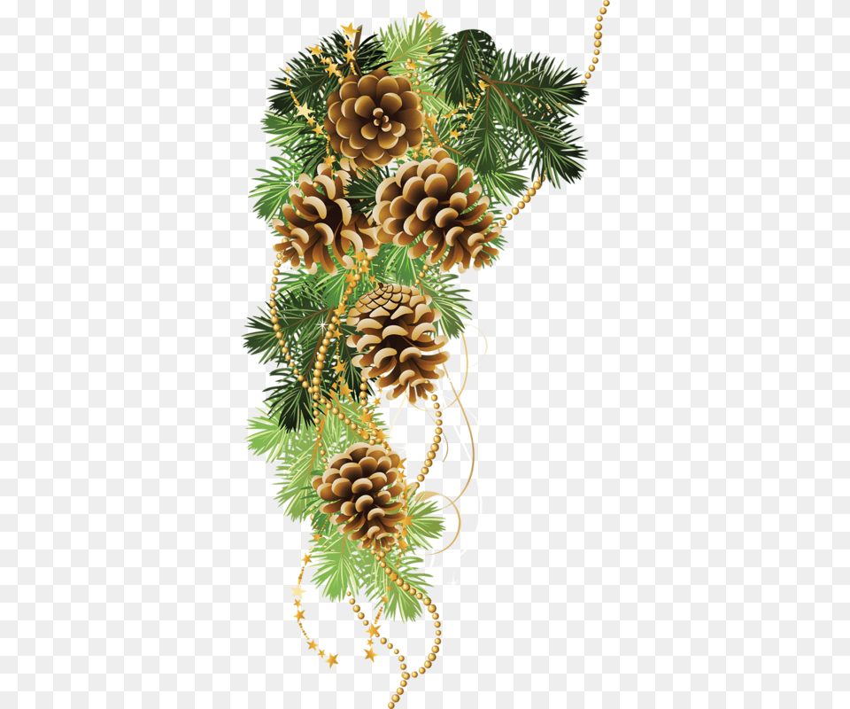 Imgenes Para Photoscape Photoshop Y Gimp De Navidad Bulletin Hanging Of The Greens, Conifer, Larch, Plant, Tree Free Png Download