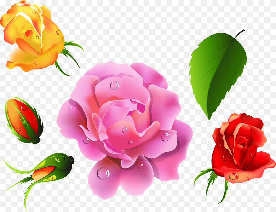 Imgenes Y Gifs Animados Clip Art, Flower, Plant, Rose, Petal Free Transparent Png