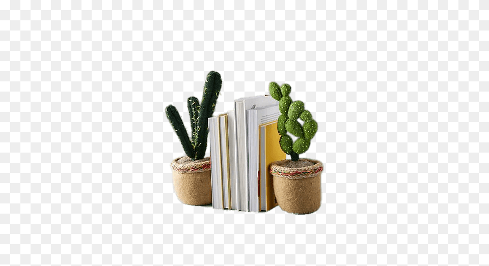 Imitation Succulent Bookends, Plant, Potted Plant Png Image