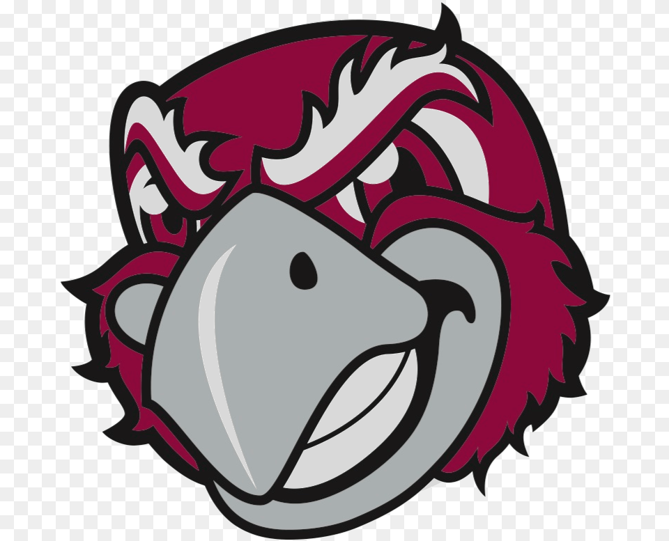 Imleagues Roanoke College Intramural Home, Animal, Beak, Bird, Ammunition Free Png