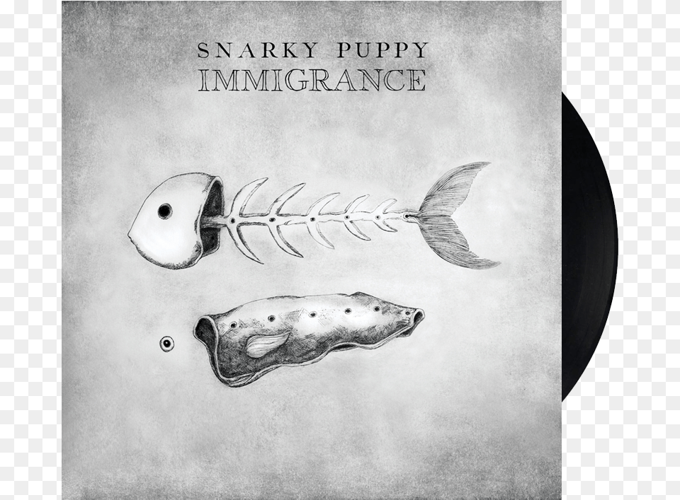 Immigrance Vinylclass Snarky Puppy Immigrance Album, Animal, Fish, Sea Life, Art Png