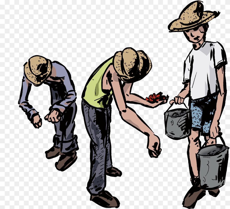 Immigration Clipart Migrant Worker Migrant Worker, Clothing, Hat, Adult, Person Free Png Download