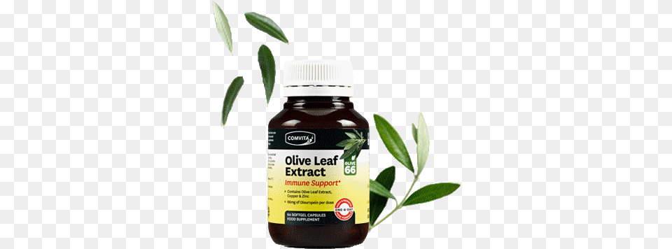 Immune Support Olive Leaf Extract 60 Capsules Comvita Olive Leaf 15 Capsules, Syrup, Seasoning, Plant, Herbs Free Png