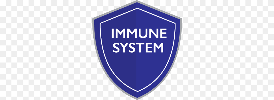 Immune System Happy Birthday Little Sister Funny, Armor, Shield, Disk Png Image