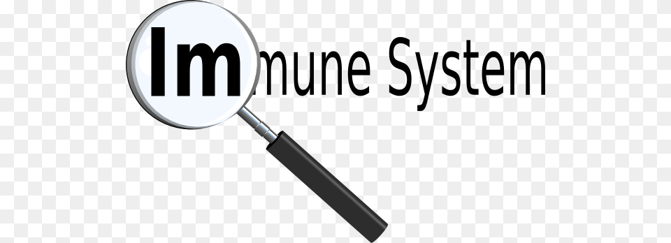 Immune System Title With Magnifying Glass Clip Art, Smoke Pipe Free Png Download