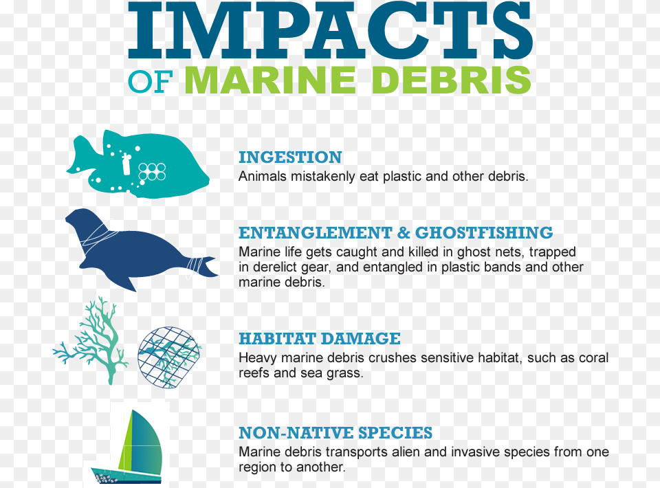 Impacts Of Marine Debris Impacts Of Marine Litter, Advertisement, Poster, Animal, Fish Free Transparent Png