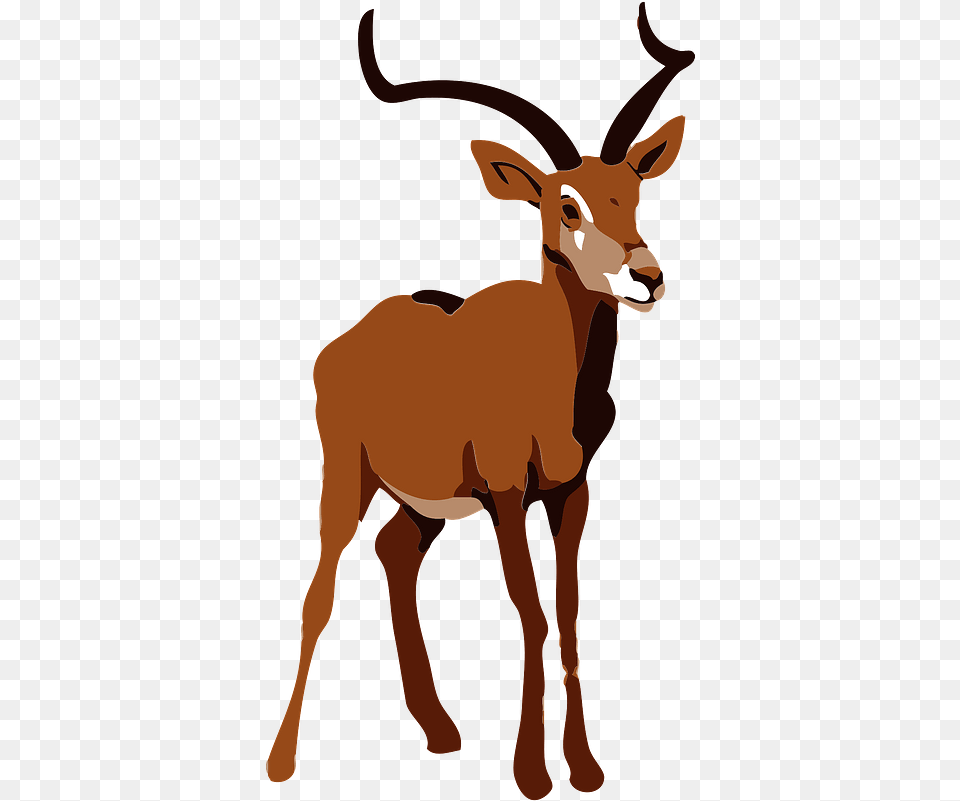 Impala Animal Clipart Deer, Antelope, Mammal, Wildlife, Person Png Image