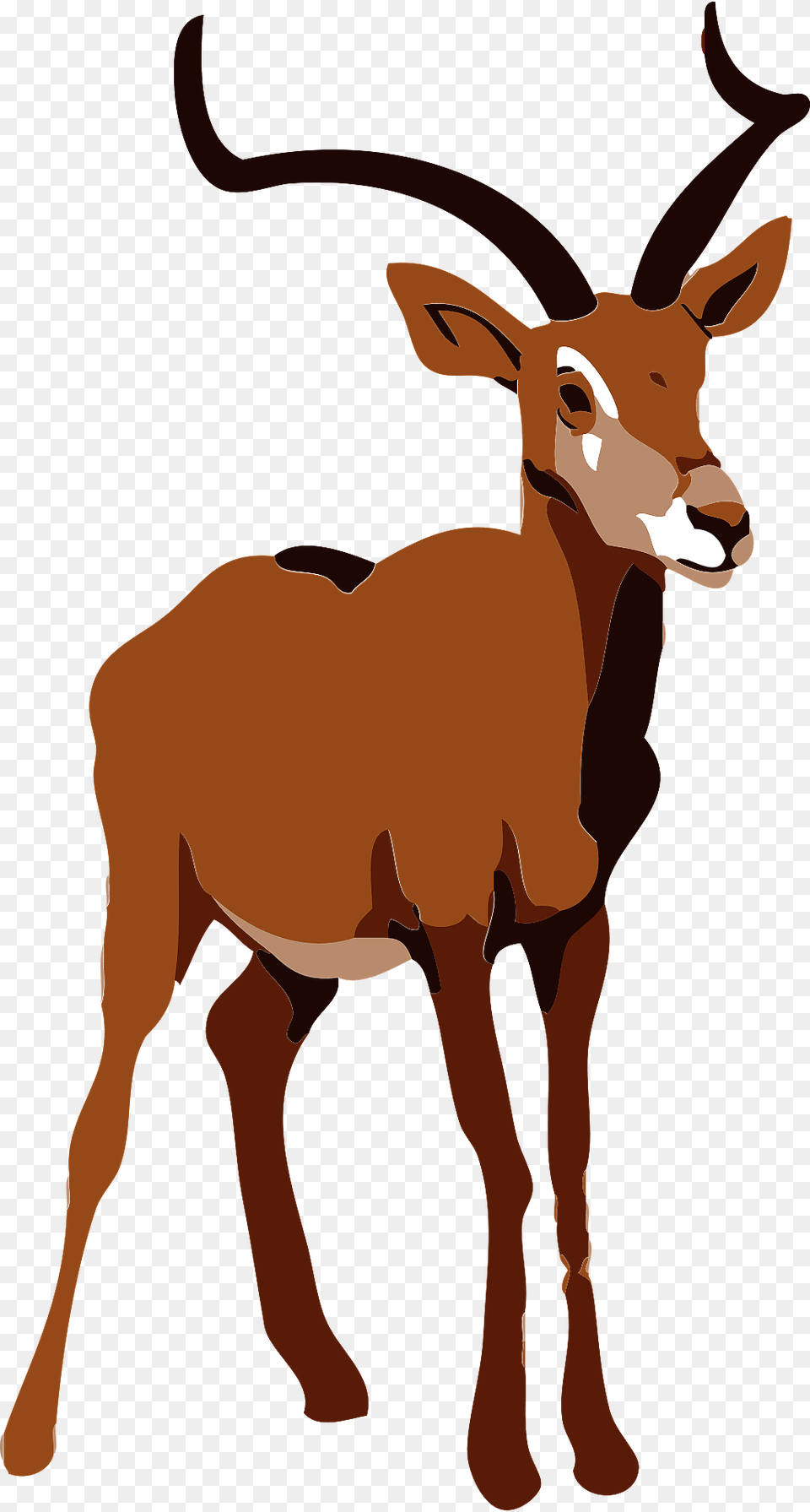Impala Clipart, Animal, Antelope, Mammal, Wildlife Png