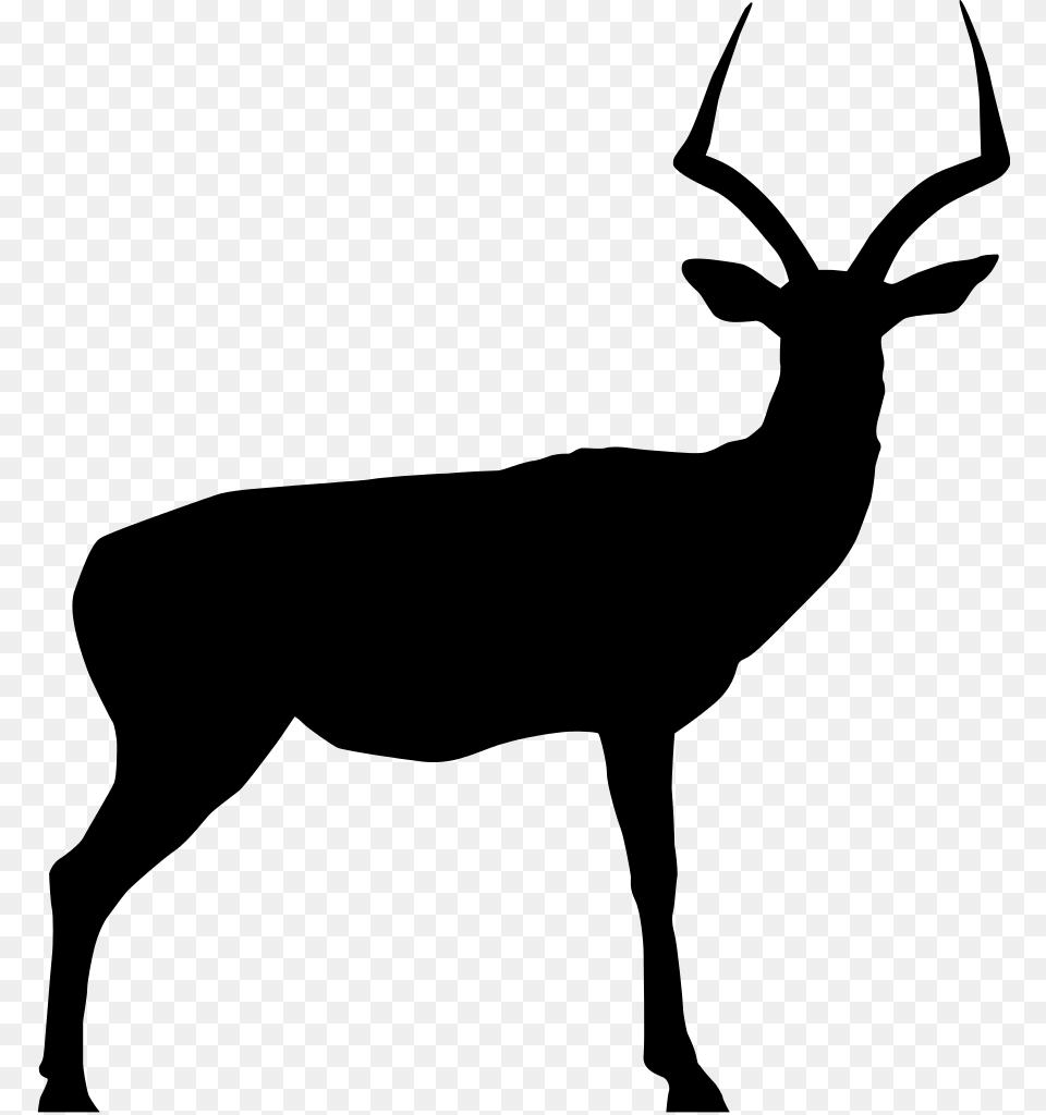 Impala Profil, Gray Png Image