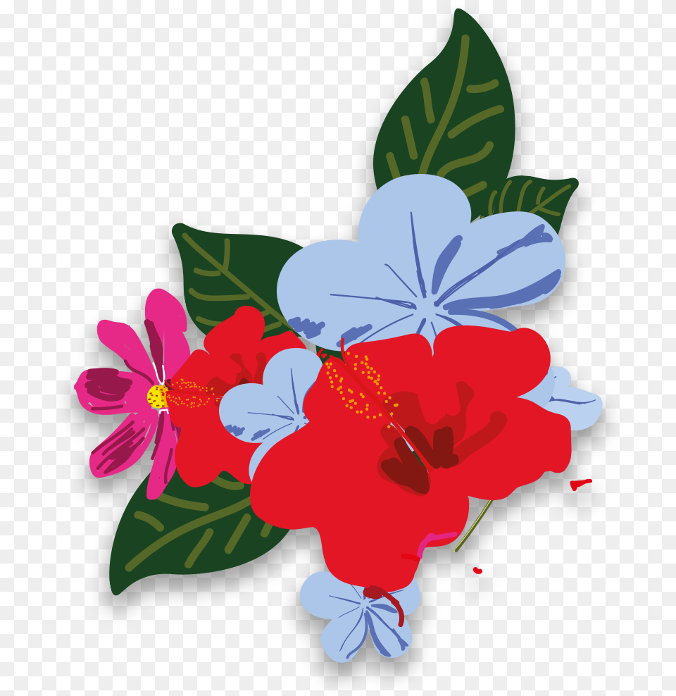 Impatiens, Flower, Plant, Hibiscus, Geranium Free Png