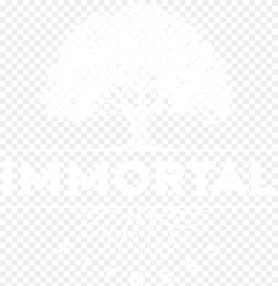 Imperial Auto Spa, Cutlery Png