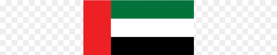 Import Summery Report United Arab Emirates Bandera Emiratos Arabes Unidos Png Image