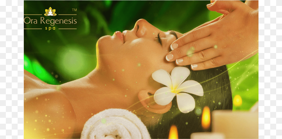 Importance Of Body Massage In Chennai Ayurvedic Spa, Person, Adult, Female, Woman Png