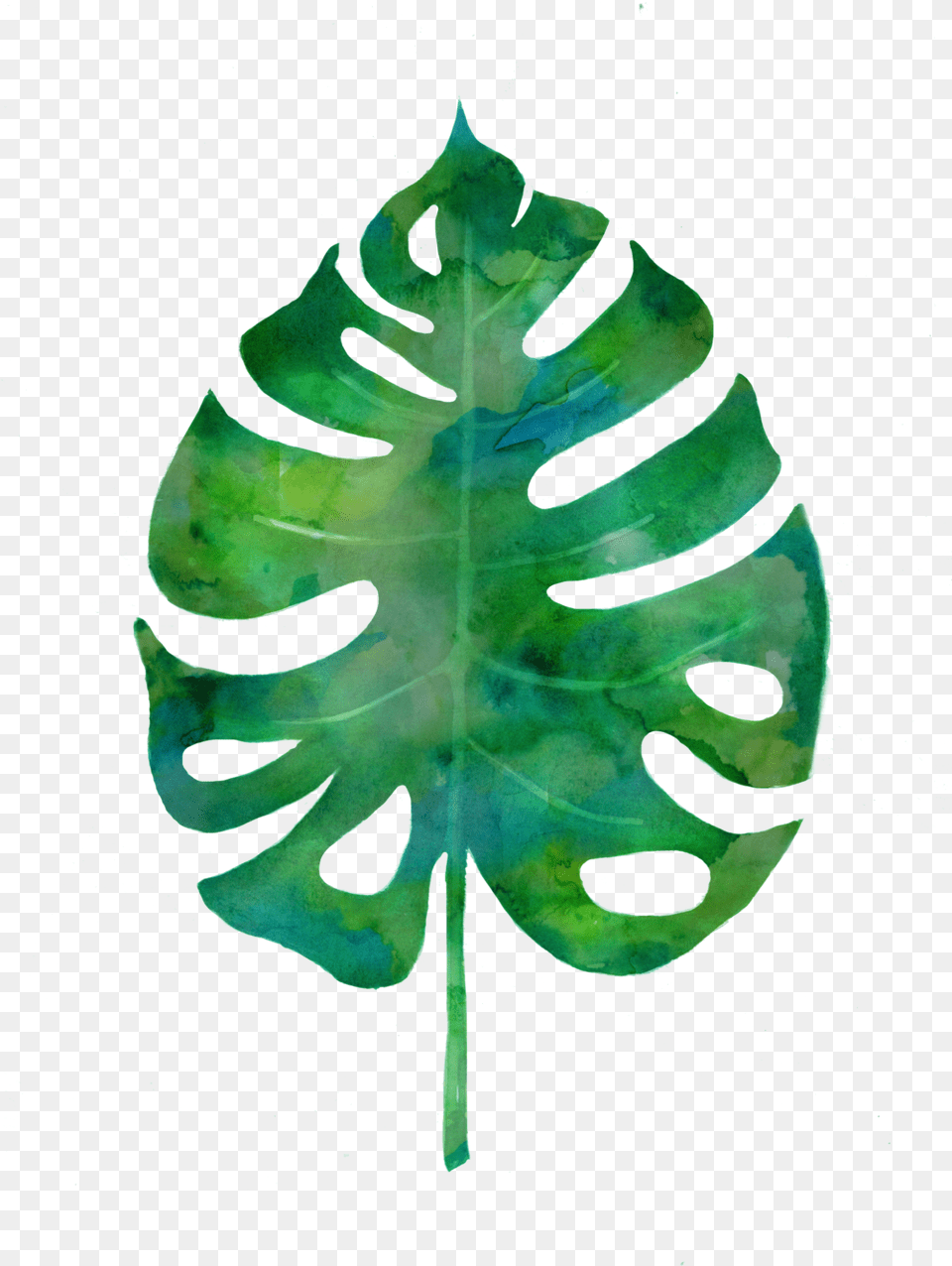 Importance Of Taking A Break Accent Illustration, Leaf, Plant, Face, Head Png Image