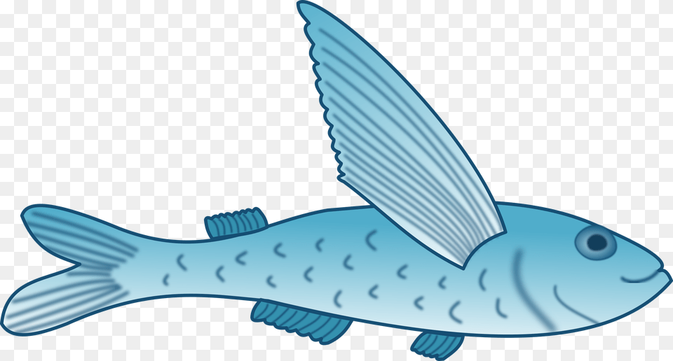 Important Clip Art Fish Clipart Flying Fish Fin Clipart, Animal, Sea Life Free Png Download