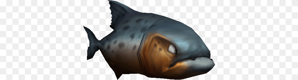 Impossible Creatures Game Wiki Shark, Animal, Fish, Sea Life, Tuna Png Image