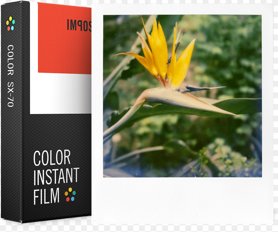 Impossible Sx 70 Film Color, Plant, Flower, Book, Publication Png