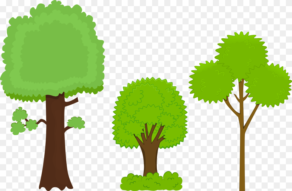 Impressive Clipart Pictures Of Trees Watercolor Tree Three Trees Clipart, Vegetation, Green, Plant, Woodland Png