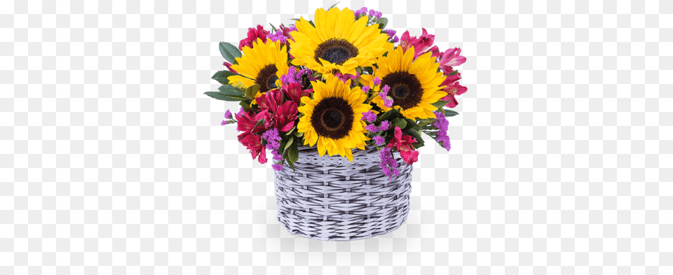 Impulso De Alegra Flower, Flower Arrangement, Flower Bouquet, Plant, Sunflower Png Image