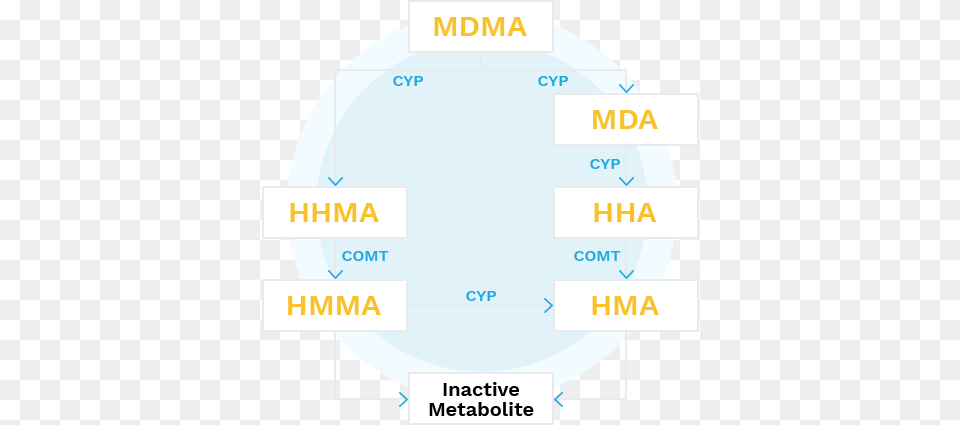 In 1982 The Dea Stated That The Agency Would Outlaw Diagram, Chart, Plot, Text Png Image