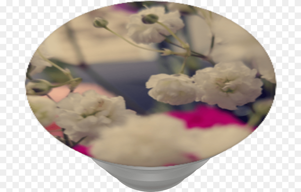 In A Field Of Flowers Cherry Blossom, Flower, Flower Arrangement, Flower Bouquet, Geranium Free Transparent Png