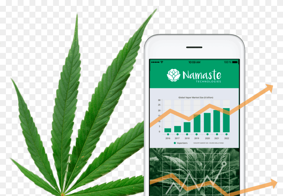 In A Recent Interview With Namaste39s Ceo Sean Dollinger Cannabis, Leaf, Plant, Hemp Free Transparent Png