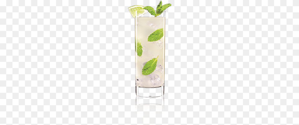 In A Tall Glass Muddle Mint Leaves And A Lime Wedge Lucid Absinthe, Alcohol, Beverage, Cocktail, Herbs Png