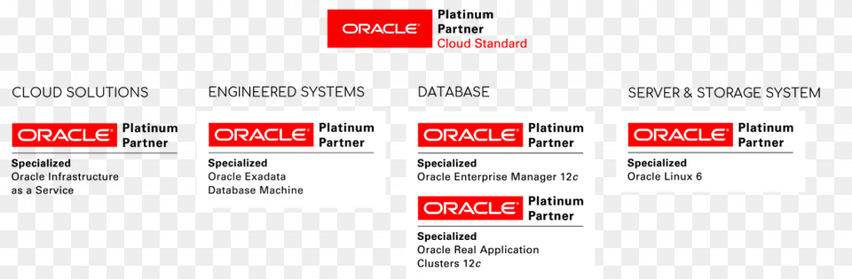 In Addition To Incident Management Service Our Database Oracle Platinum Partner, Text, Paper, Advertisement Free Png Download