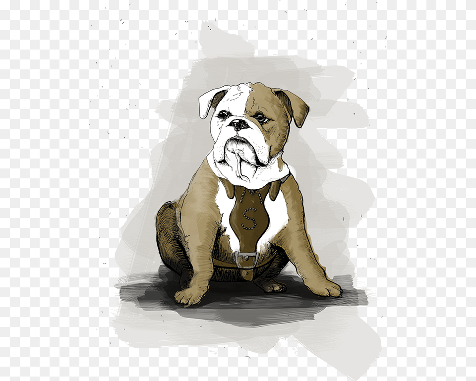 In Fact His Very Name Honors The Legendary Voice Of Olde English Bulldogge, Animal, Bulldog, Canine, Dog Png