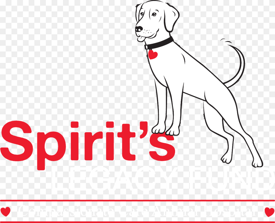 In Loving Memory Of Jax Journeys Of The Spirit Book, Advertisement, Poster, Animal, Canine Free Png