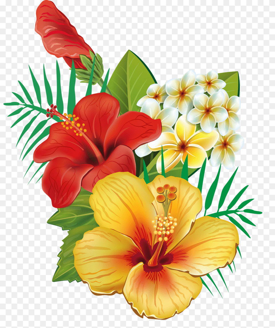 In Painting Flores Desenhos And Pinturas, Flower, Plant, Hibiscus, Anther Free Png Download