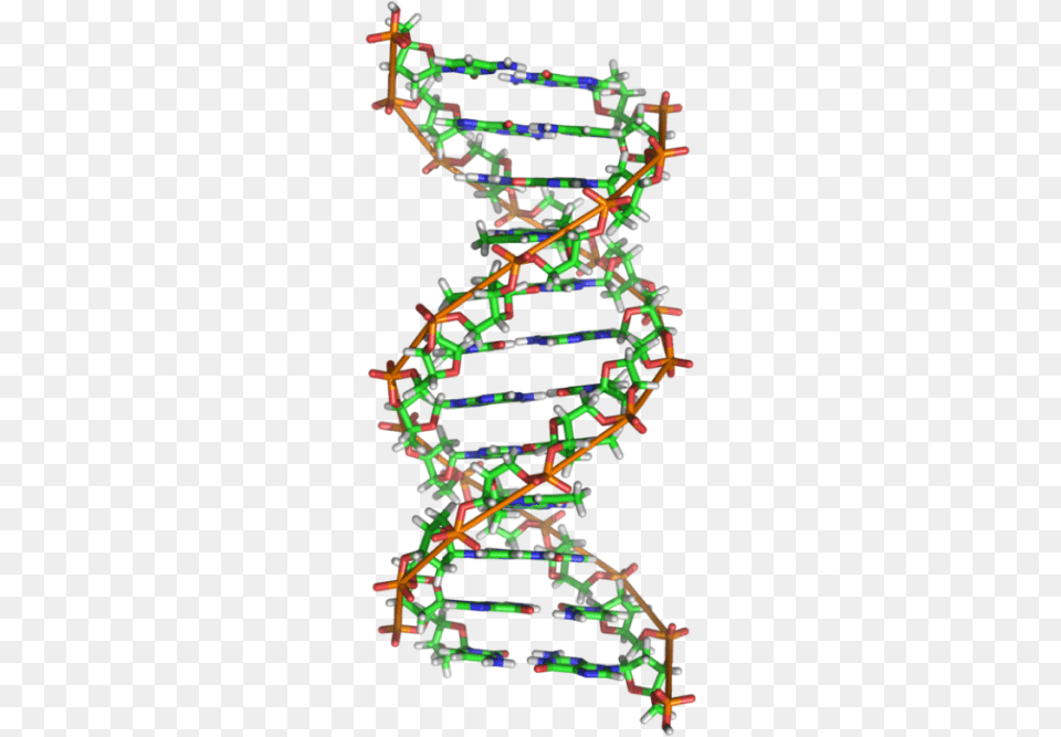 In Particular The Most Common Form Of The Dna Double Biologie Sticker, Paper, Pattern Free Png