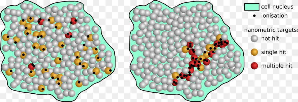 In Result The Probability Of Cell Survival Depends Illustration, Food, Sweets Free Transparent Png