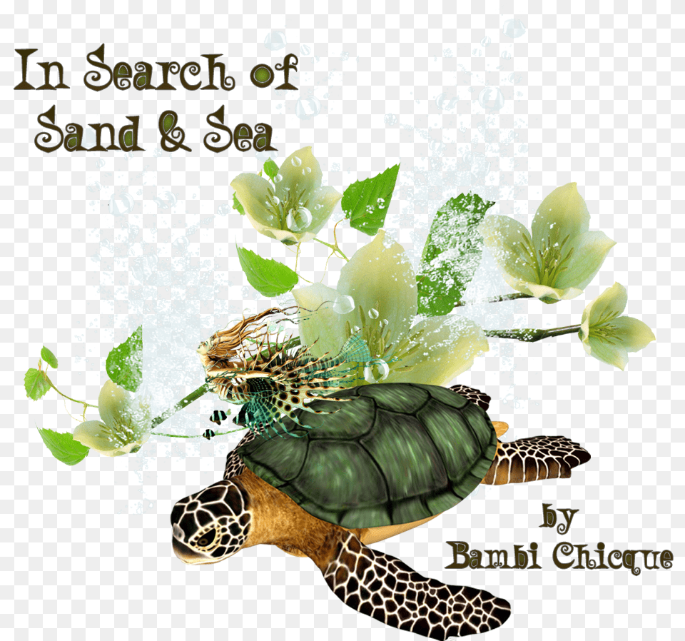 In Search Of Sand And Sea Logo, Animal, Reptile, Sea Life, Turtle Png Image