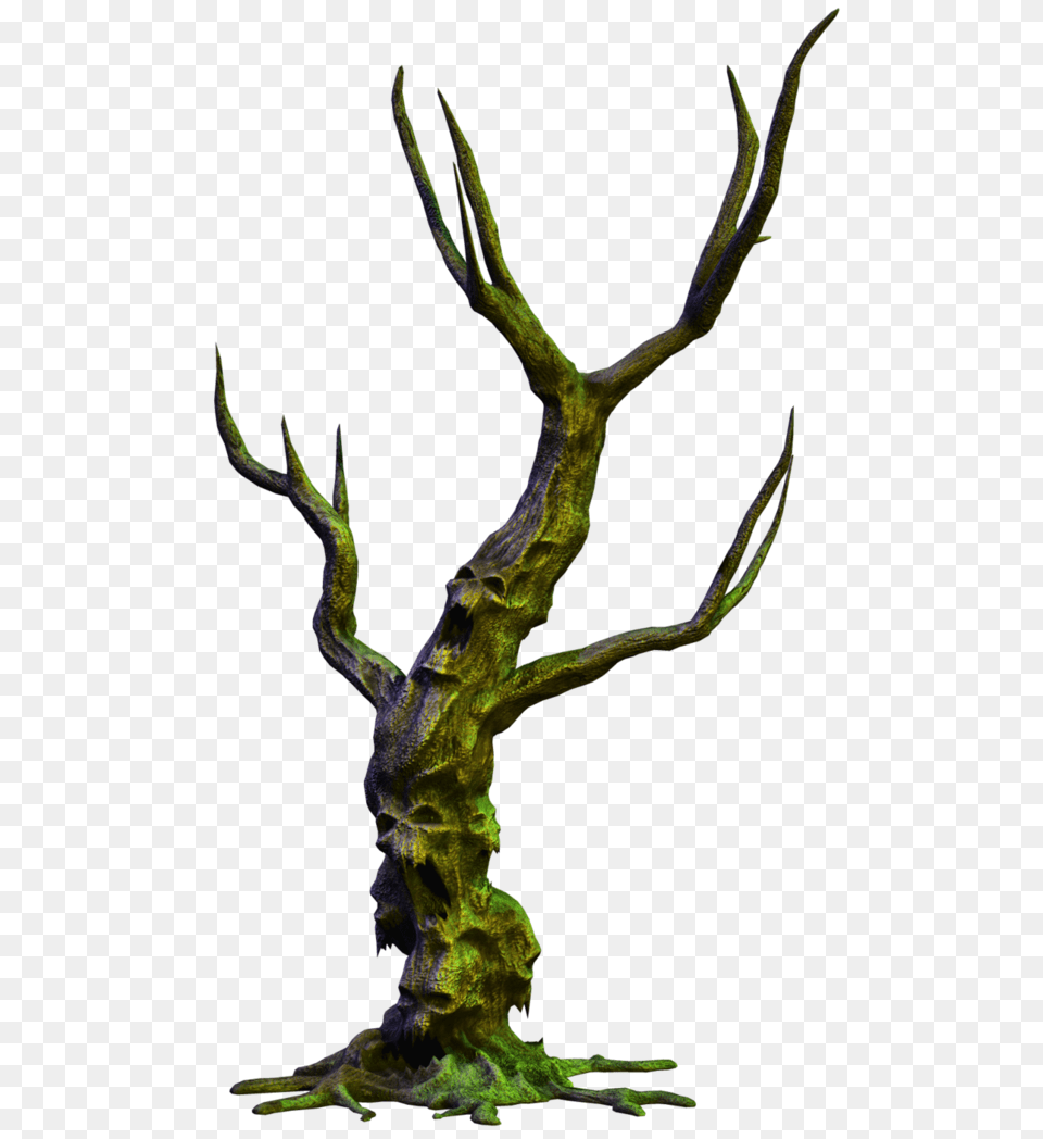 In Spooky, Plant, Moss Free Png Download