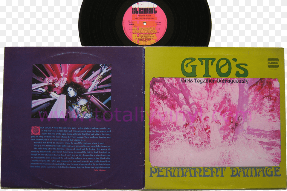 In The Album39s Liner Notes Mr Permanent Damage, Advertisement, Poster, Person, Purple Png