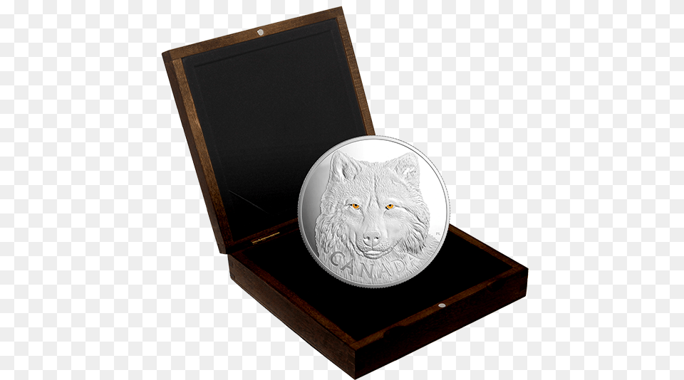 In The Eyes Of The Timber Wolf 2017 Fine Silver 250 Dollar Kilo Coin, Animal, Cat, Mammal, Pet Free Transparent Png