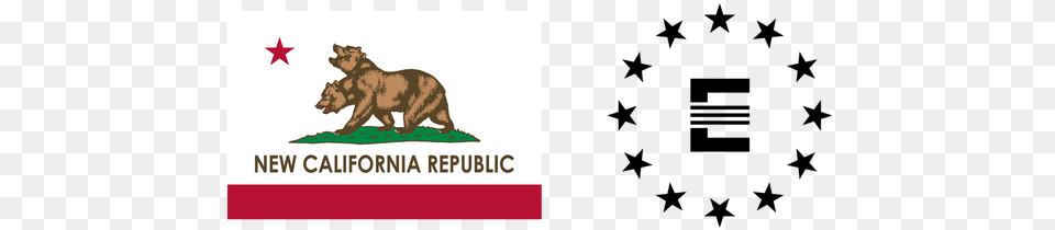 In The Fallout Universe Did Ncr New California Republic, Animal, Lion, Mammal, Wildlife Png Image