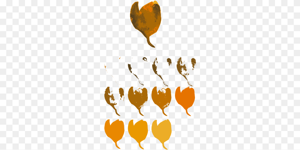 In The Image Below You Can See That I Changed The Color Illustration, Heart, Person, Leaf, Plant Png