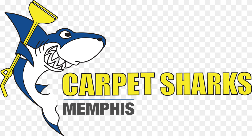 In The Mid South Our Reputation Is Spotless Floor Cleaning, People, Person, Logo Png Image