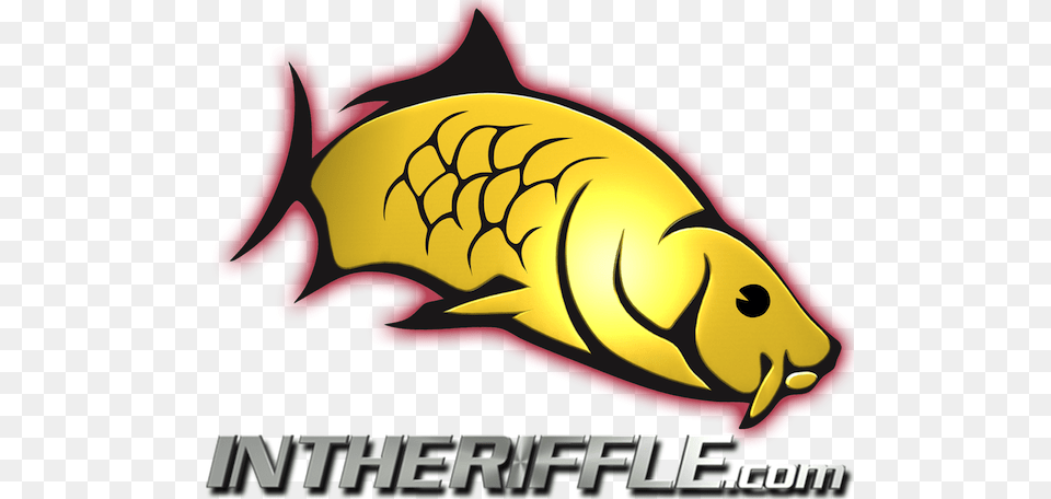 In The Riffle Carp Logo Fly Fishing Fishing L Carp Ogo, Animal, Fish, Sea Life, Food Free Png Download