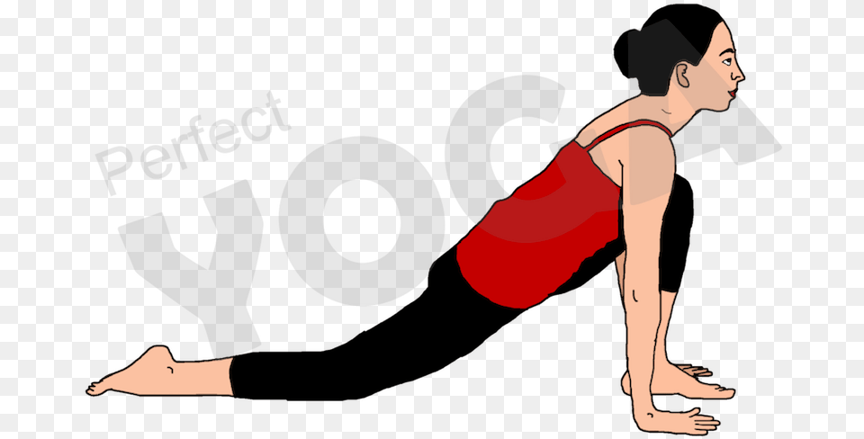 In The Third Stance Of The Purna Surya Namaskar Arrangement Press Up, Adult, Female, Person, Woman Free Transparent Png