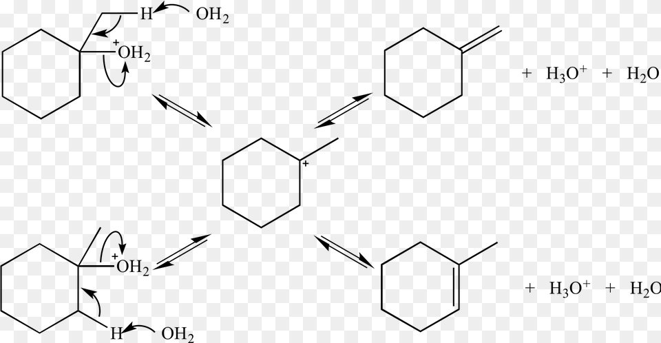 In This E1 Reaction The Alkene Products Are In Equilibrium Diagram, Gray Free Png