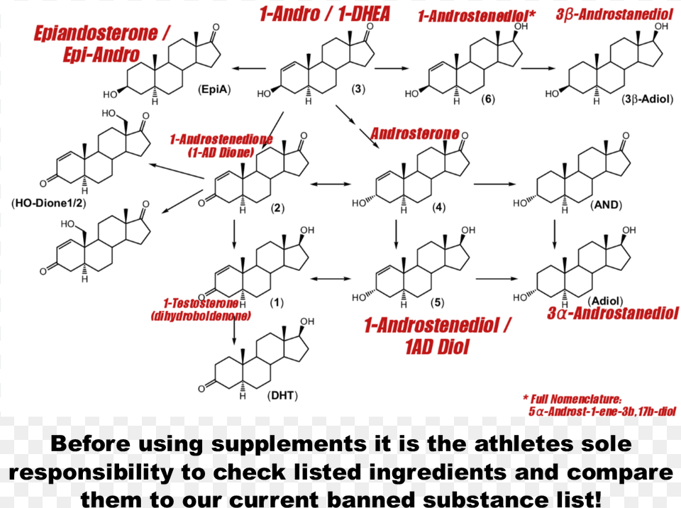 Inbf Wnbf Banned Substance List You Have Been Warned Testosterone And Epitestosterone Metabolism, Outdoors, Diagram, Nature, Text Png Image