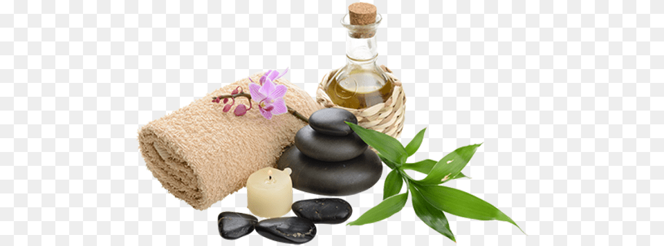 Incall Massage In Roadtown Tortola Massage, Flower, Plant, Herbal, Herbs Free Png Download