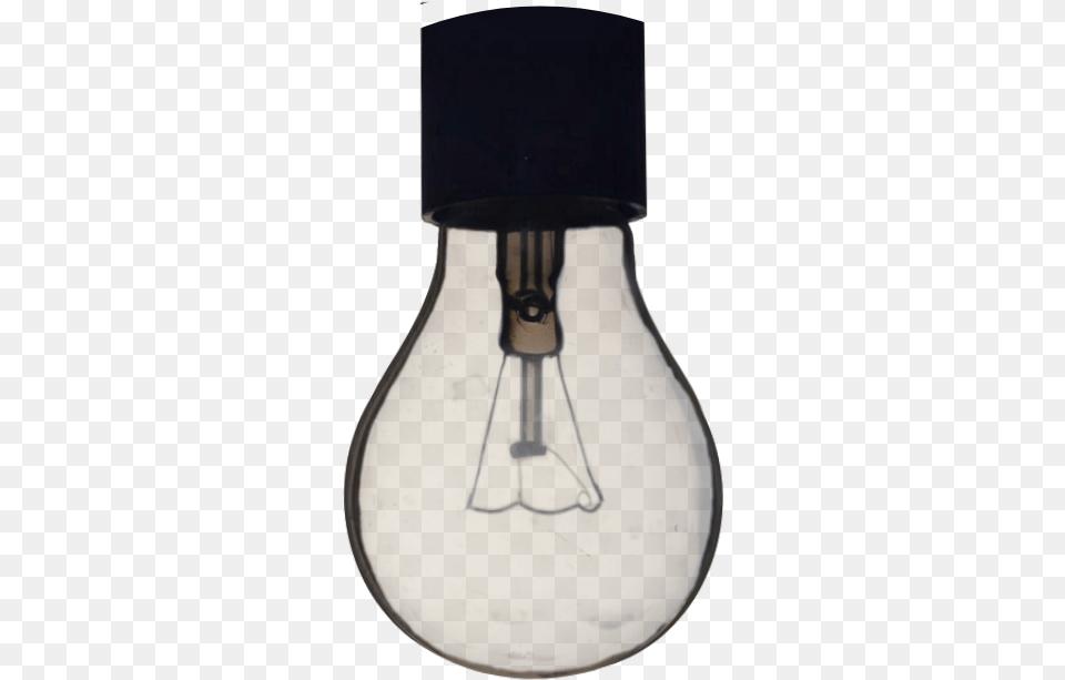 Incandescent Light Bulb, Lightbulb, Person Free Png