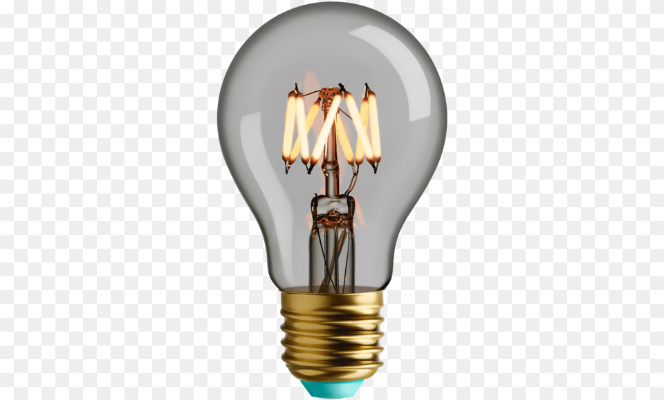 Incandescent Light Bulb, Lightbulb, Festival, Hanukkah Menorah Png